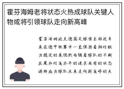 霍芬海姆老将状态火热成球队关键人物或将引领球队走向新高峰