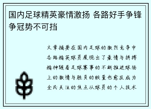 国内足球精英豪情激扬 各路好手争锋争冠势不可挡